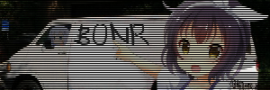 b0nr.com